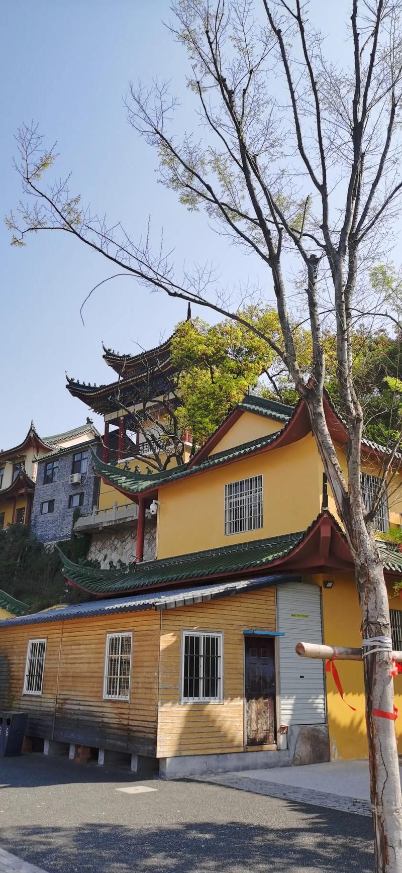 浙江省衢州市龙游县什么时候可以管控区(龙游县什么时候恢复的)