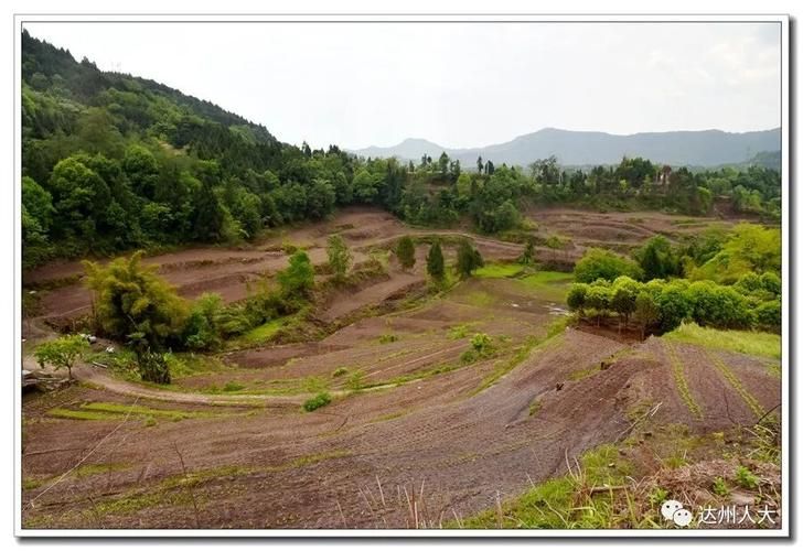 达川区境外输入已蔓延14地(达川区最新消息)
