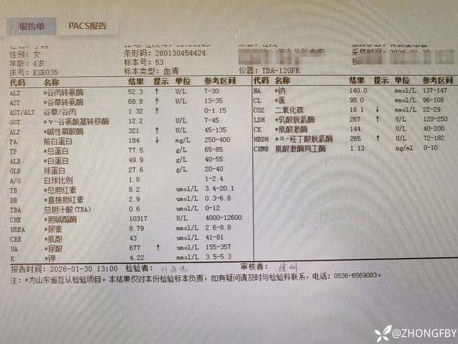 全国新增20例确诊其中本土4例_全国新增病例本土确诊