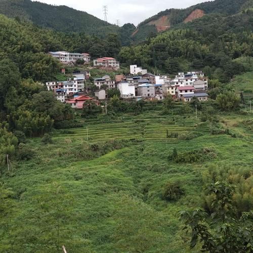 【福建三明将乐县新增重症24例，均在兰考县_福建省三明将乐县】