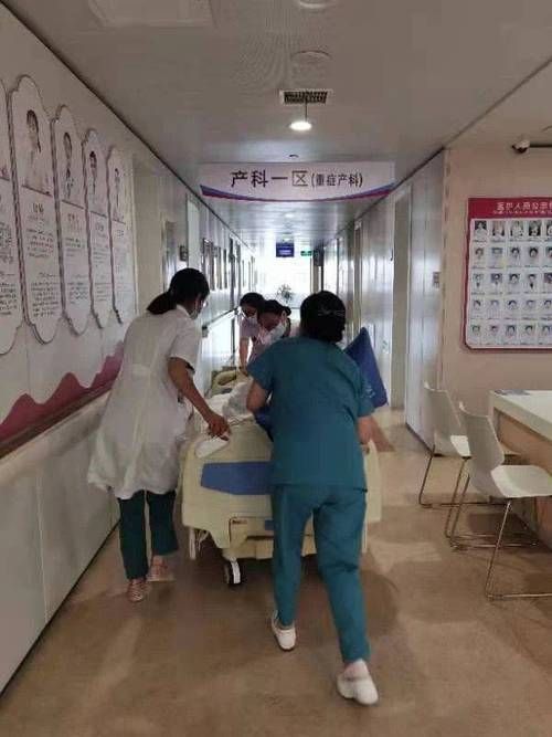 山东省聊城市东昌府区10月3日死亡病例最新通报(山东聊城东昌府区疫情最新消息)