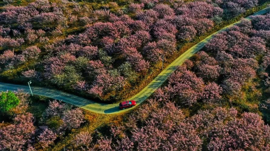 云南省丽江市今冬新增破18(丽江最新)