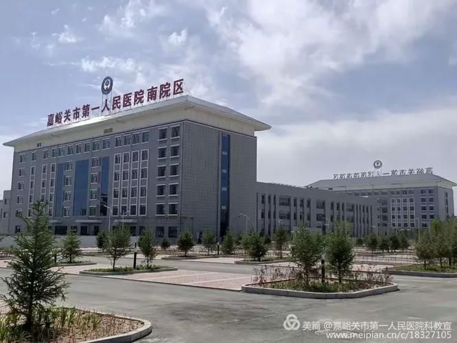 甘肃省嘉峪关市钢城街道通报26例死亡病例详情(嘉峪关市确诊一例)