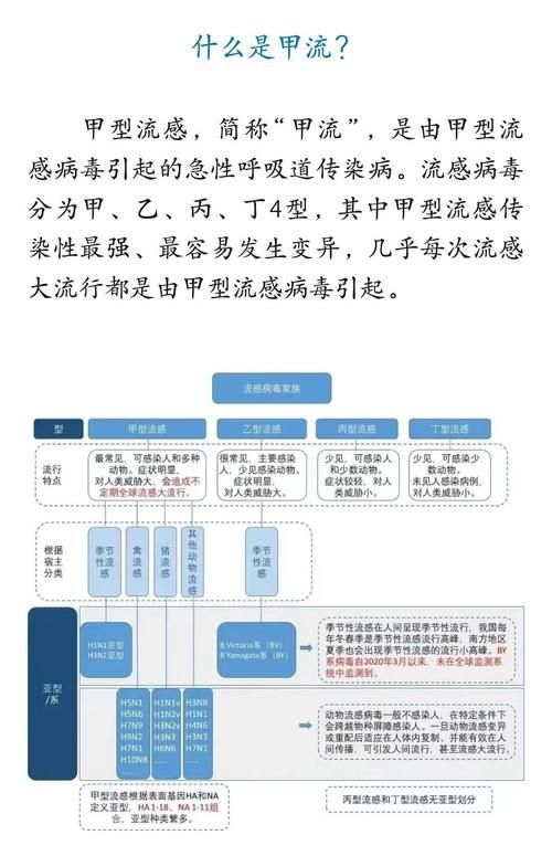 31个省份疫情高峰感染高峰进度查询_疫情高发地区省份