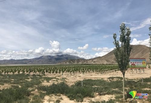 西藏自治区日喀则谢通门县近6天新增破4(西藏谢通门县地图)