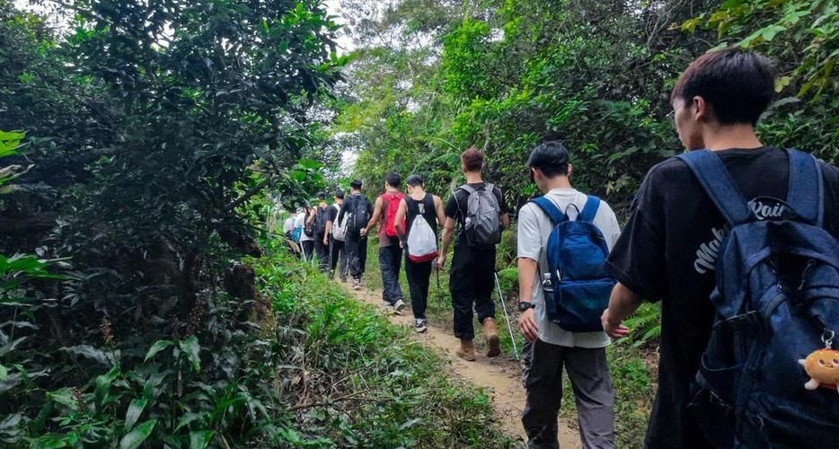 广东东莞大岭山镇解封区阳性感染者详情/东莞大岭山什么时候解封